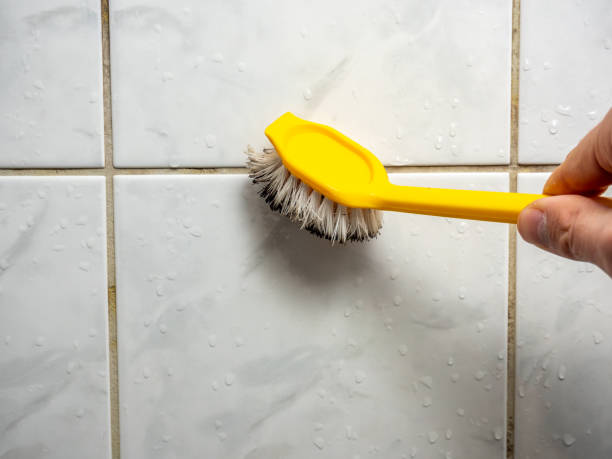 Best Residential Mold Removal  in , MD