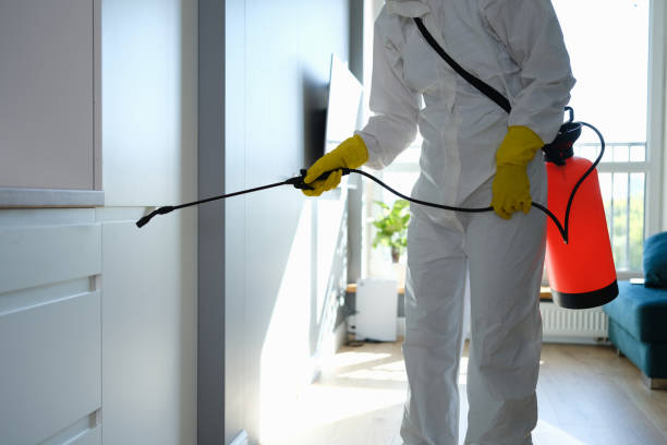 Best Commercial Mold Removal  in , MD