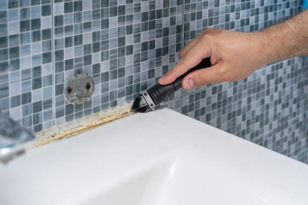 Best Mold Testing  in , MD