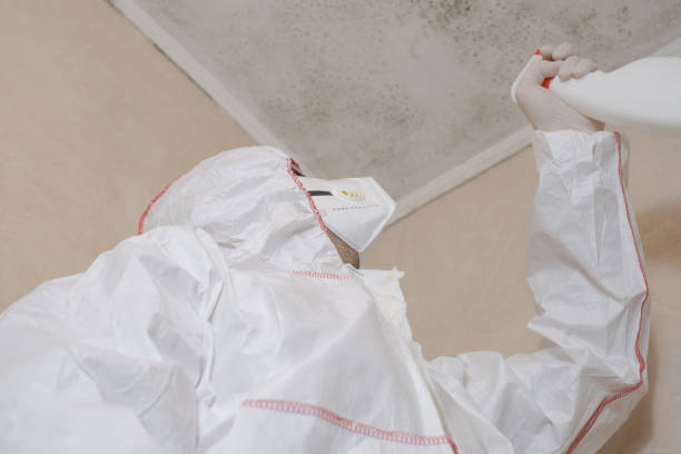 Best Mold Damage Repair  in , MD